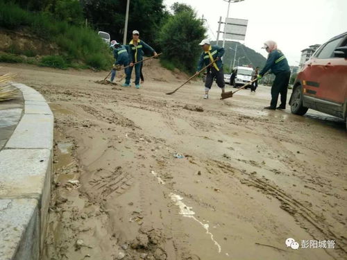 防汛救災，彭陽城管在行動——筑牢防洪除澇設施管理“安全堤”